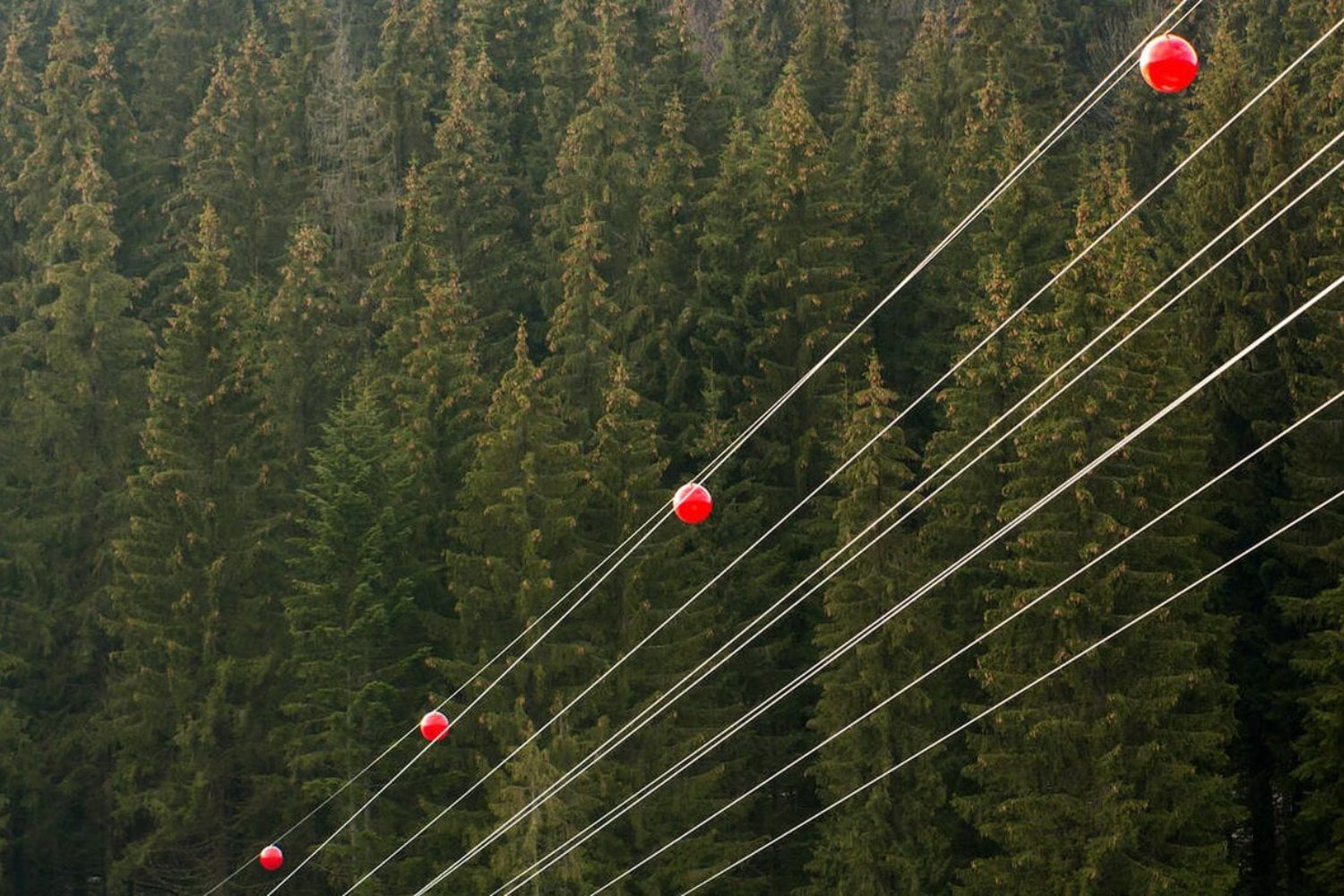 Seguro que las has visto colgando de cables eléctricos, pero casi nadie sabe para qué sirven. Las bolas rojas que aparecen en líneas de alta tensión tienen una función clave que puede evitar accidentes mortales