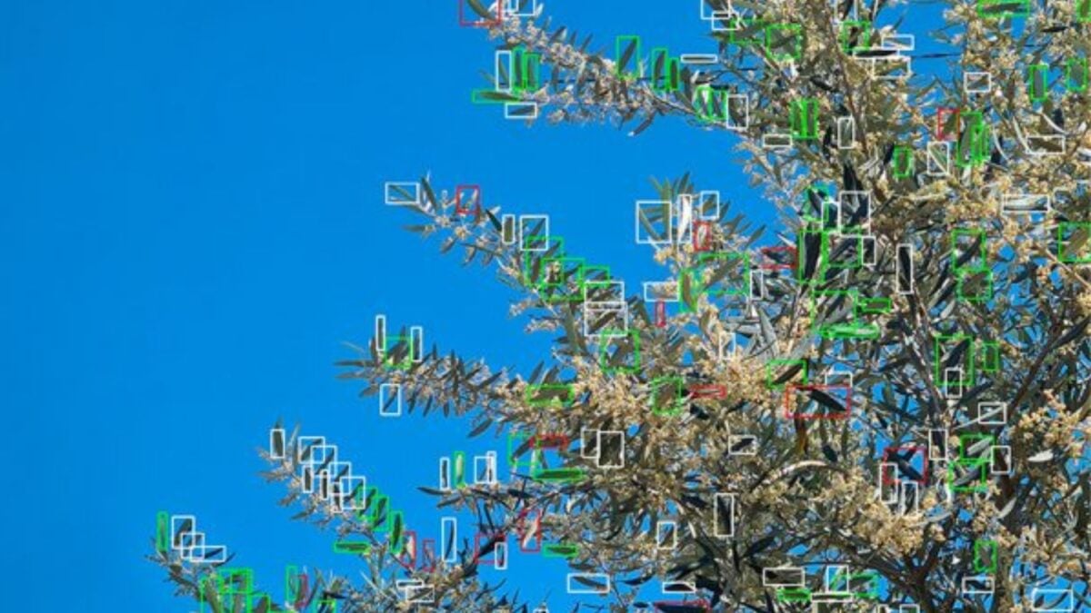 Un científico ha creado un robot capaz de detectar enfermedades en cultivos en segundos y aplicar pesticidas solo donde hace falta. La inteligencia artificial podría cambiar por completo cómo se combate las plagas en la agricultura