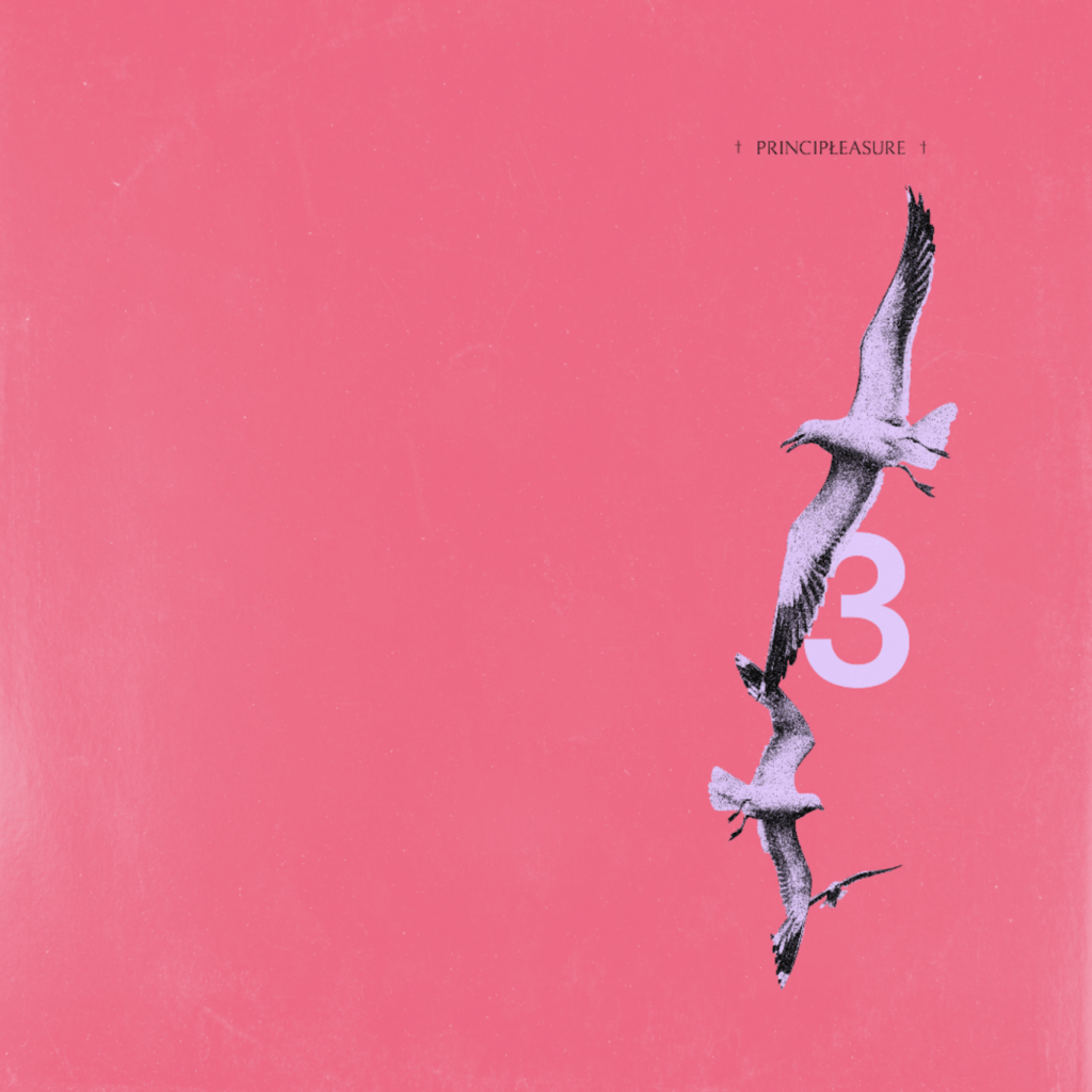 PREMIERE: Principleasure – Storung w/ Nur Nur – Principleasure