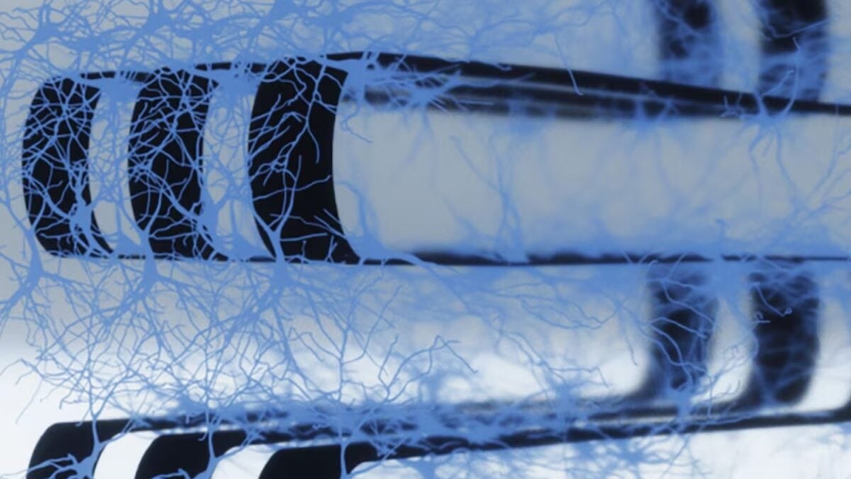 Científicos lograron fusionar 70.000 neuronas vivas con componentes electrónicos flexibles. El resultado es un chip cerebral híbrido que podría transformar el futuro de la inteligencia artificial y la computación