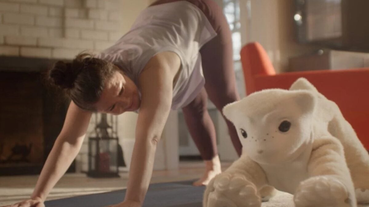 El creador de Roomba trabaja en una mascota robot con IA que nunca podrá mentirte