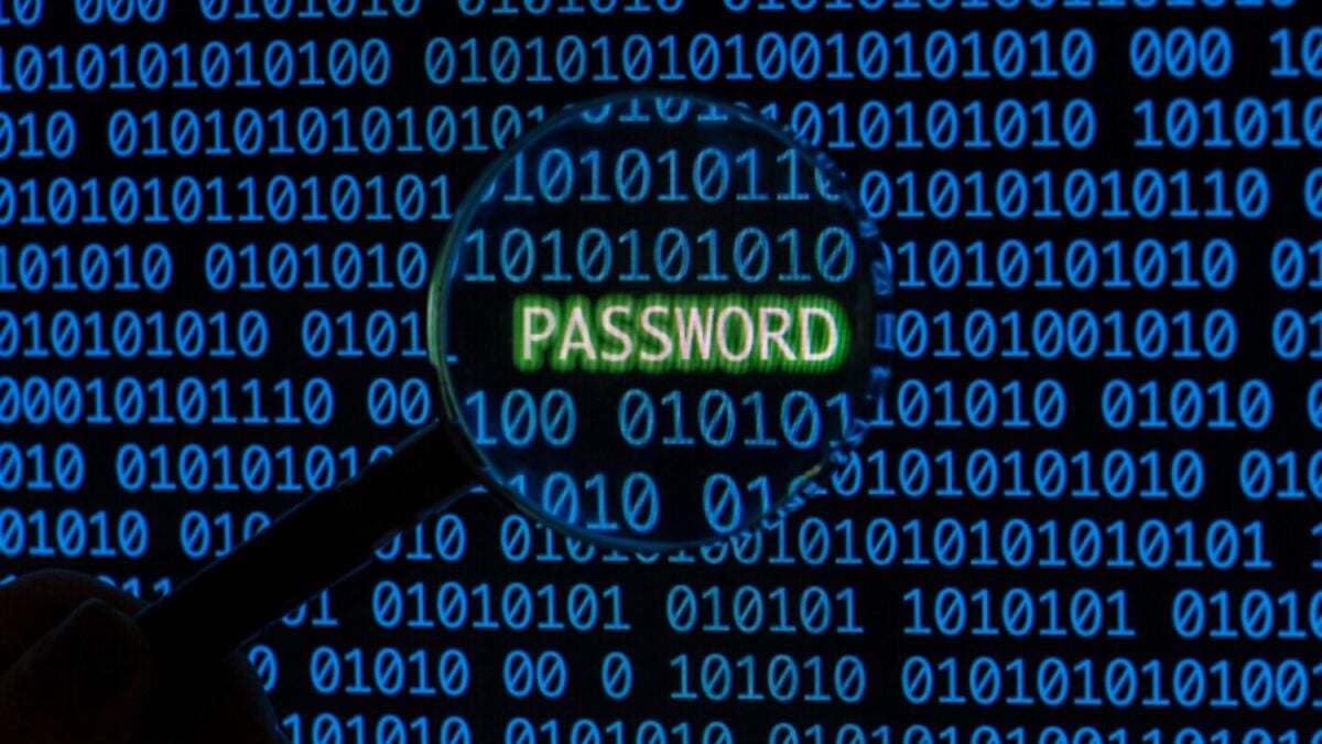 Tus archivos podrían ser vulnerables en el futuro: cómo blindarlos hoy frente a la computación cuántica