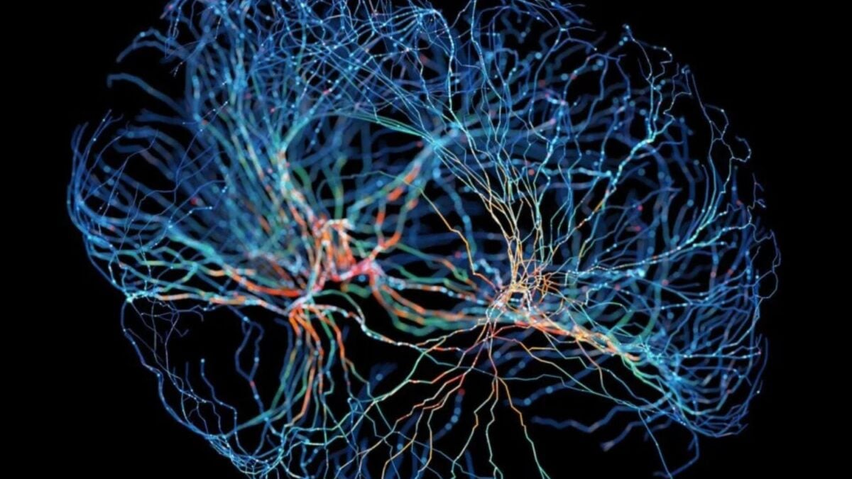 China acaba de realizar el primer implante en el mundo de una interfaz comercial entre cerebro y computadora