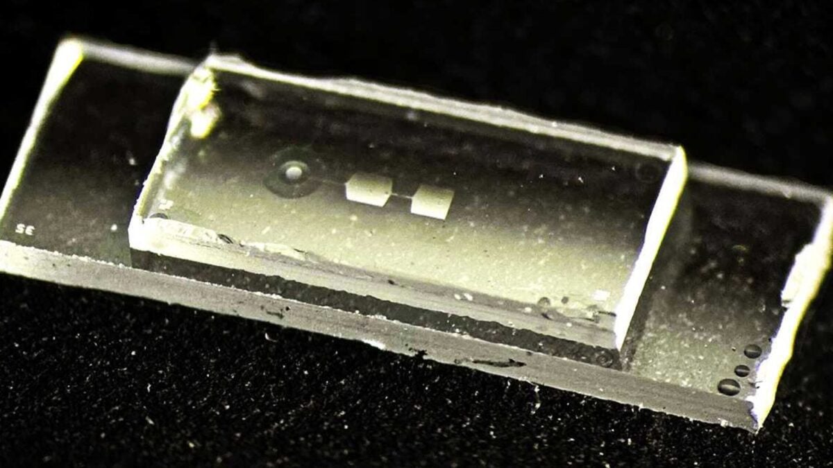 El futuro de la computación cuántica podría caber en un chip de solo 7,5 milímetros. En lugar de recurrir a memorias electromagnéticas, almacena sus datos mediante vibraciones microscópicas