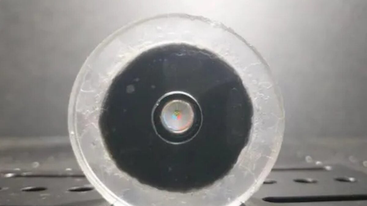 Los robots necesitaban sensores, motores y baterías para enfocar una imagen. Esta lente blanda solo necesita recibir luz para cambiar de forma y ver con nitidez