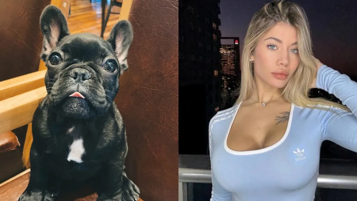 Qué pasó con el perro de Candela Arizaga que se escapó durante el episodio con Facundo Moyano