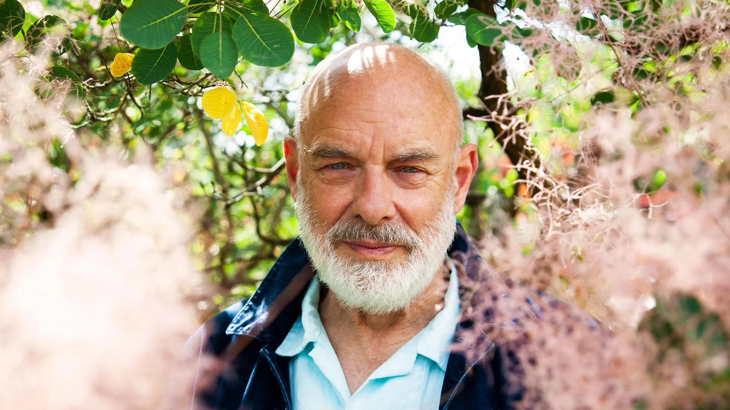 Brian Eno reactiva Opal Records